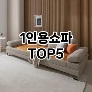 1인용쇼파 필수템! 이번 시즌을 위한 베스트 Top 5 1인용쇼파 추천!