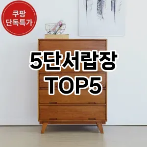 5단서랍장 필수템! 이번 시즌을 위한 베스트 Top 5 5단서랍장 추천!