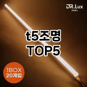 t5조명 필수템! 이번 시즌을 위한 베스트 Top 5 t5조명 추천!