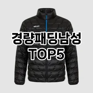 가벼워서 더 좋은 경량패딩! 올겨울 스타일리시한 선택 Top 5!