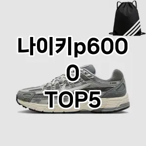 나이키p6000 필수템! 이번 시즌을 위한 베스트 Top 5 나이키p6000 추천!
