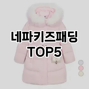 네파키즈패딩 필수템! 이번 시즌을 위한 베스트 Top 5 네파키즈패딩 추천!
