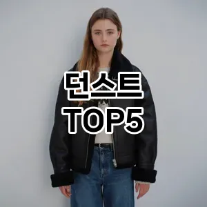 던스트 필수템! 이번 시즌을 위한 베스트 Top 5 던스트 추천!