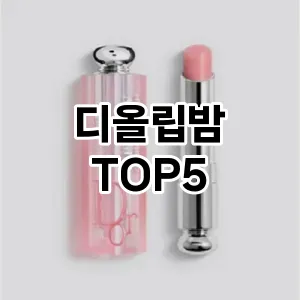 디올립밤 필수템! 이번 시즌을 위한 베스트 Top 5 디올립밤 추천!