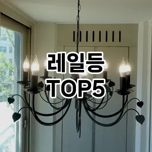 레일등 필수템! 이번 시즌을 위한 베스트 Top 5 레일등 추천!