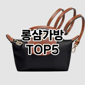 롱샴가방 필수템! 이번 시즌을 위한 베스트 Top 5 롱샴가방 추천!