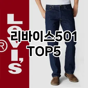 리바이스501 필수템! 이번 시즌을 위한 베스트 Top 5 리바이스501 추천!