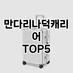 만다리나덕캐리어 필수템! 이번 시즌을 위한 베스트 Top 5 만다리나덕캐리어 추천!