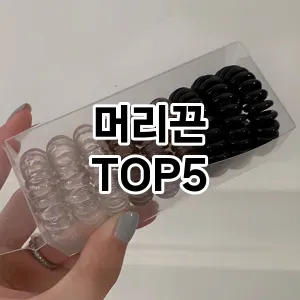 머리끈 필수템! 이번 시즌을 위한 베스트 Top 5 머리끈 추천!
