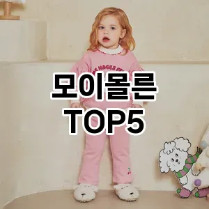 모이몰른 필수템! 이번 시즌을 위한 베스트 Top 5 모이몰른 추천!