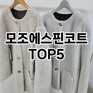 모조에스핀코트 필수템! 이번 시즌을 위한 베스트 Top 5 모조에스핀코트 추천!