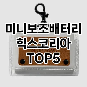 미니보조배터리힉스코리아 필수템! 이번 시즌을 위한 베스트 Top 5 미니보조배터리힉스코리아 추천!