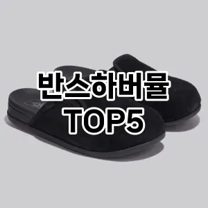 반스하버뮬 필수템! 이번 시즌을 위한 베스트 Top 5 반스하버뮬 추천!