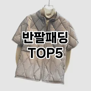 반팔패딩 필수템! 이번 시즌을 위한 베스트 Top 5 반팔패딩 추천!