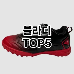 불라디 필수템! 이번 시즌을 위한 베스트 Top 5 불라디 추천!