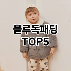 블루독패딩 필수템! 이번 시즌을 위한 베스트 Top 5 블루독패딩 추천!
