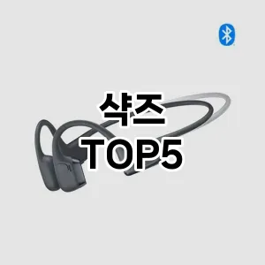 샥즈 필수템! 이번 시즌을 위한 베스트 Top 5 샥즈 추천!