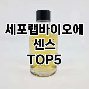 세포랩바이오에센스 필수템! 이번 시즌을 위한 베스트 Top 5 세포랩바이오에센스 추천!