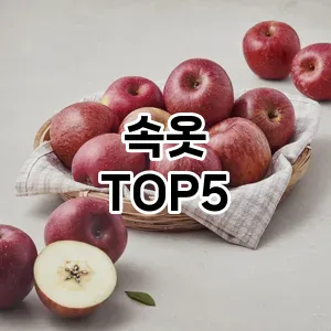 속옷 필수템! 이번 시즌을 위한 베스트 Top 5 속옷 추천!