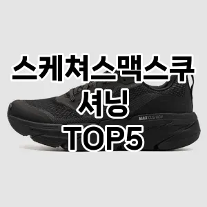 스케쳐스맥스쿠셔닝 필수템! 이번 시즌을 위한 베스트 Top 5 스케쳐스맥스쿠셔닝 추천!