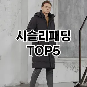 시슬리패딩 필수템! 이번 시즌을 위한 베스트 Top 5 시슬리패딩 추천!