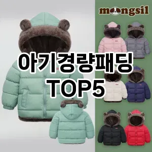 가벼워서 더 좋은 경량패딩! 올겨울 스타일리시한 선택 Top 5!