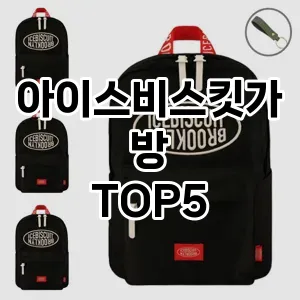 아이스비스킷가방 필수템! 이번 시즌을 위한 베스트 Top 5 아이스비스킷가방 추천!