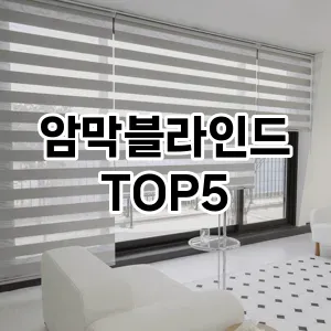 암막블라인드 필수템! 이번 시즌을 위한 베스트 Top 5 암막블라인드 추천!