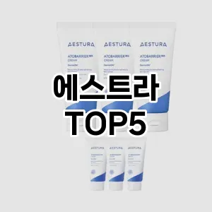 에스트라 필수템! 이번 시즌을 위한 베스트 Top 5 에스트라 추천!