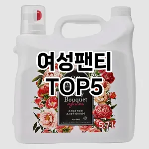 여성팬티 필수템! 이번 시즌을 위한 베스트 Top 5 여성팬티 추천!