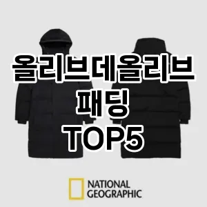 올리브데올리브패딩 필수템! 이번 시즌을 위한 베스트 Top 5 올리브데올리브패딩 추천!