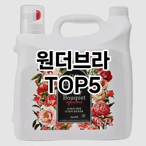 원더브라 필수템! 이번 시즌을 위한 베스트 Top 5 원더브라 추천!