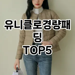 가벼워서 더 좋은 경량패딩! 올겨울 스타일리시한 선택 Top 5!