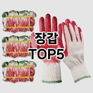 장갑 필수템! 이번 시즌을 위한 베스트 Top 5 장갑 추천!