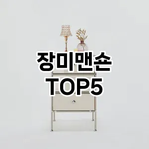 장미맨숀 필수템! 이번 시즌을 위한 베스트 Top 5 장미맨숀 추천!