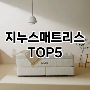 지누스매트리스 필수템! 이번 시즌을 위한 베스트 Top 5 지누스매트리스 추천!