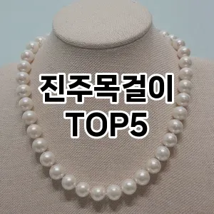 진주목걸이 필수템! 이번 시즌을 위한 베스트 Top 5 진주목걸이 추천!
