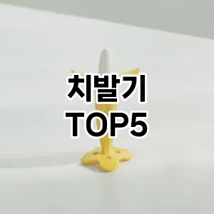 치발기 필수템! 이번 시즌을 위한 베스트 Top 5 치발기 추천!