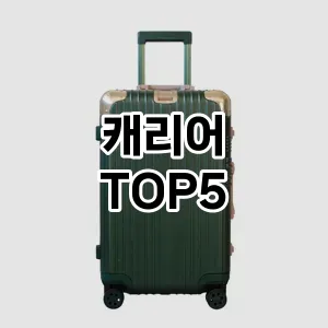 캐리어 필수템! 이번 시즌을 위한 베스트 Top 5 캐리어 추천!