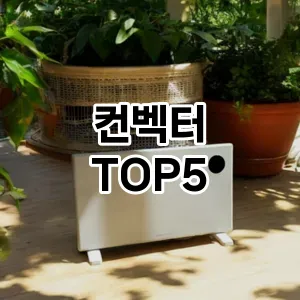 컨벡터 필수템! 이번 시즌을 위한 베스트 Top 5 컨벡터 추천!