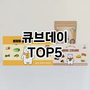 큐브데이 필수템! 이번 시즌을 위한 베스트 Top 5 큐브데이 추천!