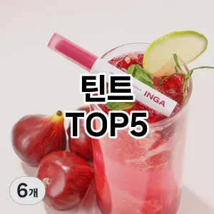 틴트 필수템! 이번 시즌을 위한 베스트 Top 5 틴트 추천!