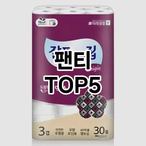 팬티 필수템! 이번 시즌을 위한 베스트 Top 5 팬티 추천!