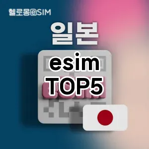 esim 필수템! 이번 시즌을 위한 베스트 Top 5 esim 추천!