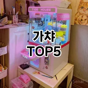 가챠 필수템! 이번 시즌을 위한 베스트 Top 5 가챠 추천!