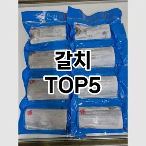 갈치 필수템! 이번 시즌을 위한 베스트 Top 5 갈치 추천!