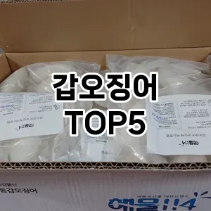 갑오징어 필수템! 이번 시즌을 위한 베스트 Top 5 갑오징어 추천!