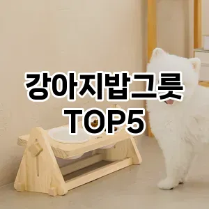 강아지밥그릇 필수템! 이번 시즌을 위한 베스트 Top 5 강아지밥그릇 추천!