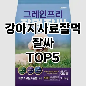 강아지사료잘먹잘싸 필수템! 이번 시즌을 위한 베스트 Top 5 강아지사료잘먹잘싸 추천!