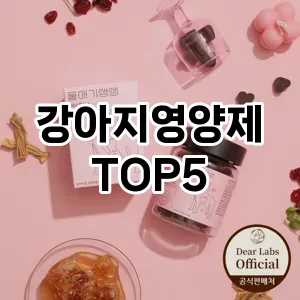 강아지영양제 필수템! 이번 시즌을 위한 베스트 Top 5 강아지영양제 추천!